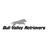 Bull Valley Retrievers Training Package - 5 One-on-One Sessions