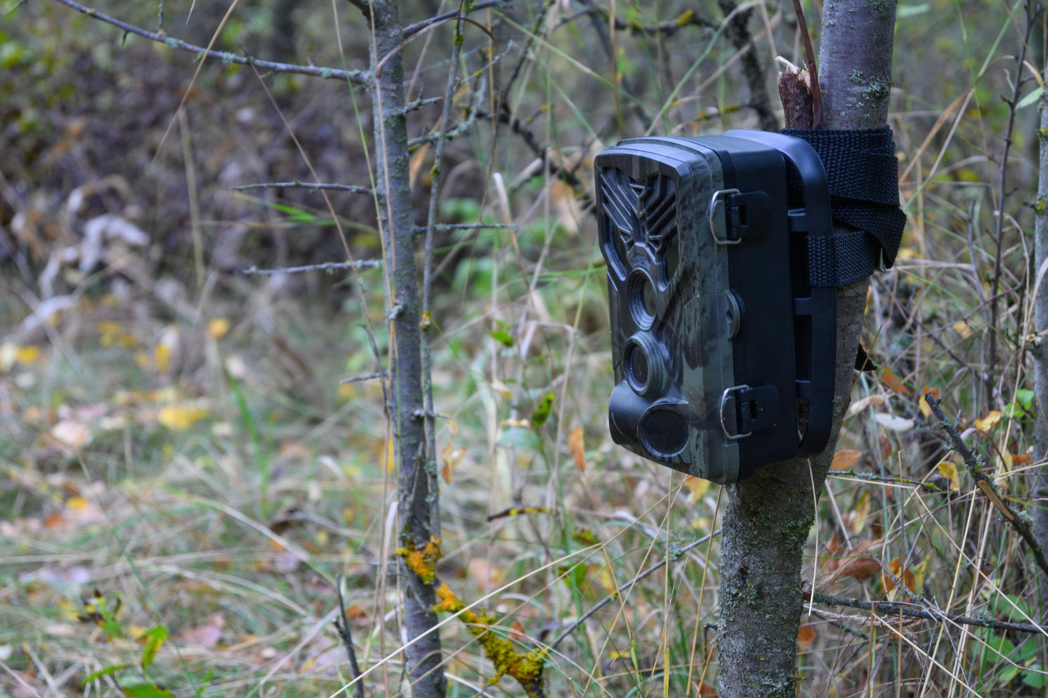 Trail Camera