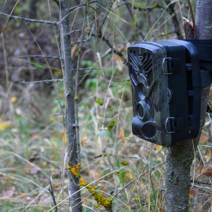Trail Camera