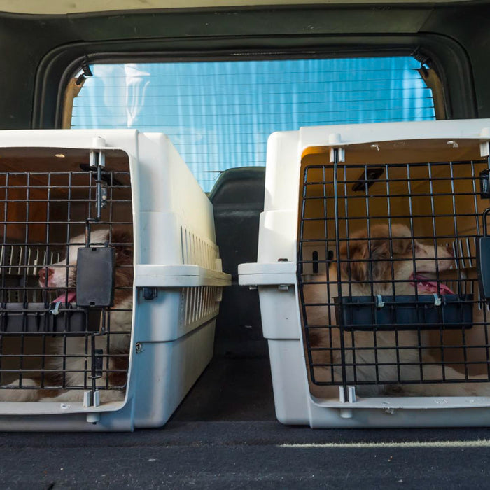 Hunting Dog Crate