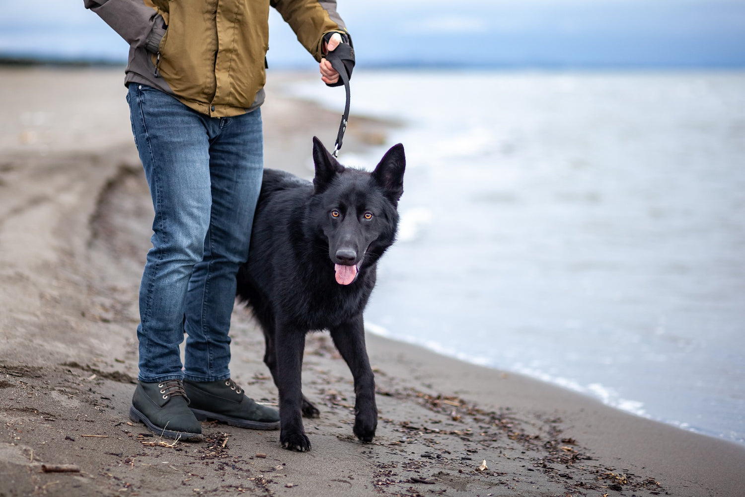 Hunting Dog Leash
