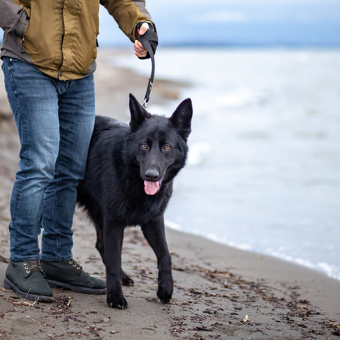 Hunting Dog Leash
