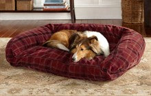 Buying a Dog Bed