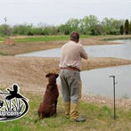 Training Your Gun Dog - Hunting Dog Training Supplies