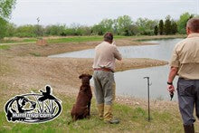 Training Your Gun Dog - Hunting Dog Training Supplies