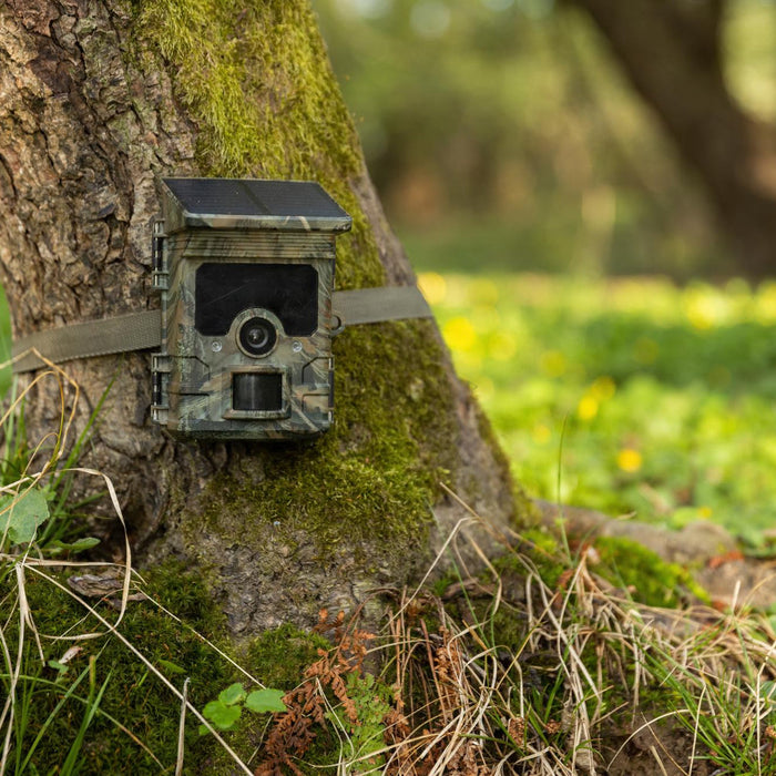 Trail Camera