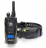 Should You Use a Shock Collar in Your Dog Training?