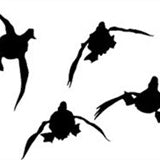 Duck Hunting Decals &amp; Stickers For Cars, Windows and Walls