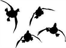 Duck Hunting Decals &amp; Stickers For Cars, Windows and Walls