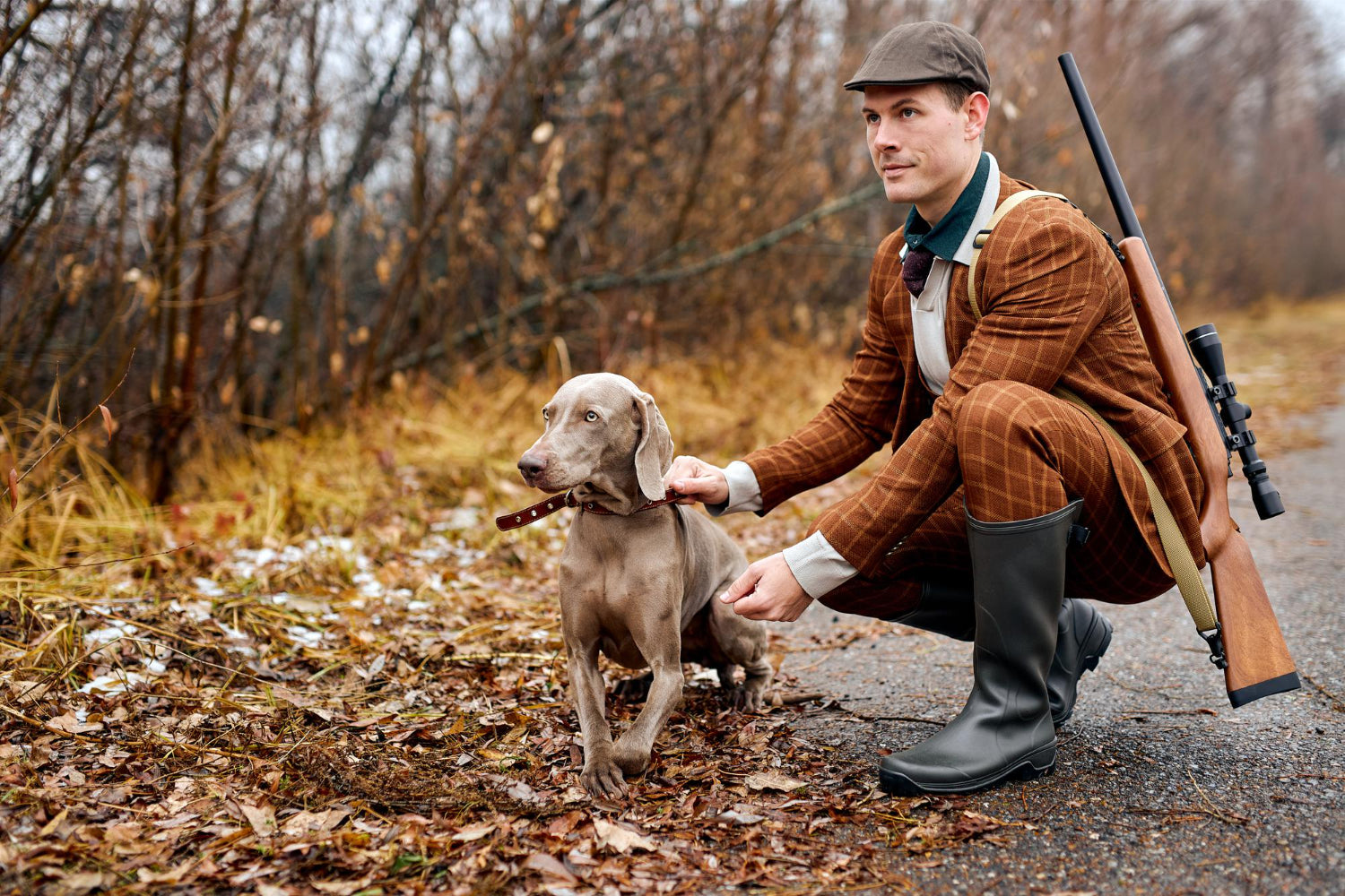 Duck Dog Steadiness