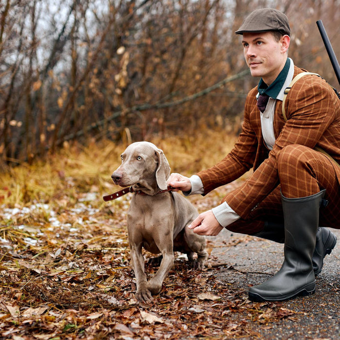 Duck Dog Steadiness