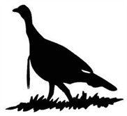 Review of Turkey Hunting Decals by WaterfowlDecals