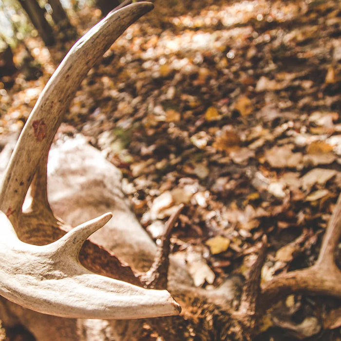 Why Are Kick's Choke Tubes Better?