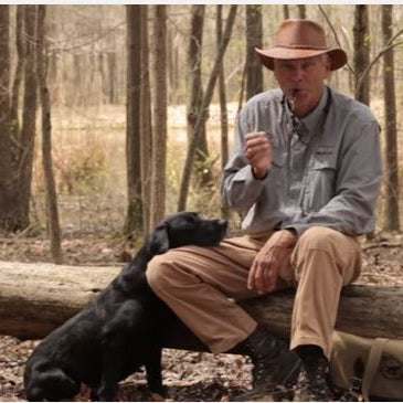 Tone of Voice When Dog Training