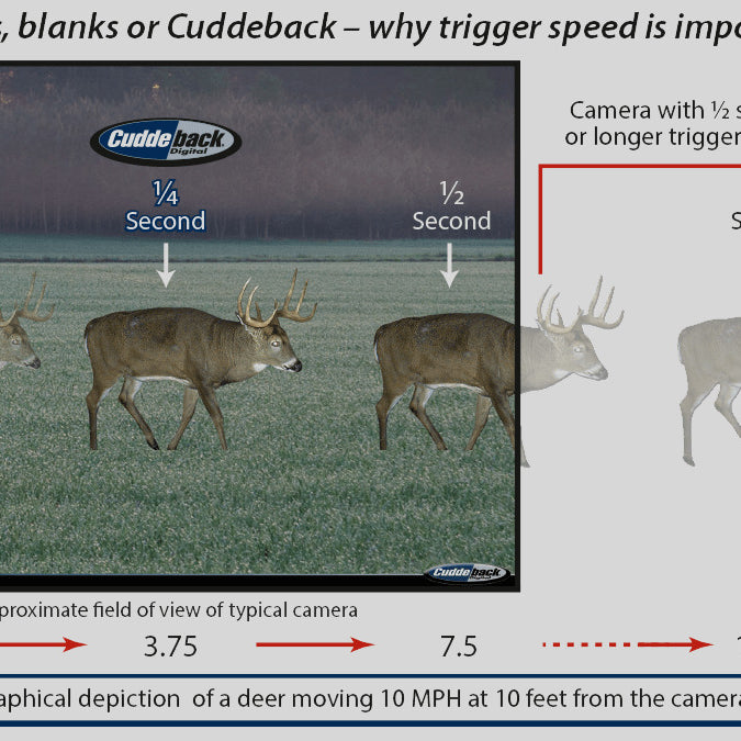 CuddeBack CuddeLink System: Easy to Set-up But Here are some mistakes not to make Mistakes