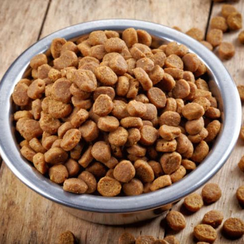 Dog food recall dog food recall list