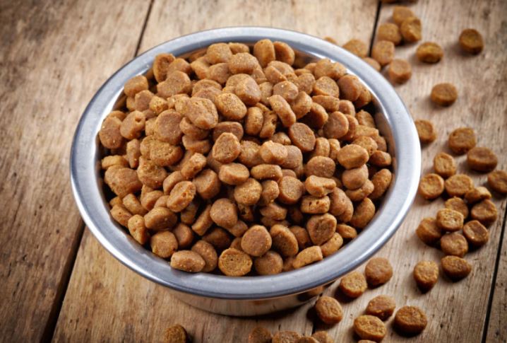 Dog food recall dog food recall list