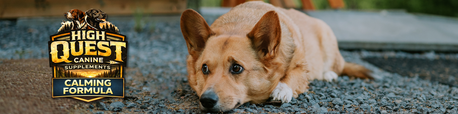 High Quest Canine Supplements – Calm Formula
