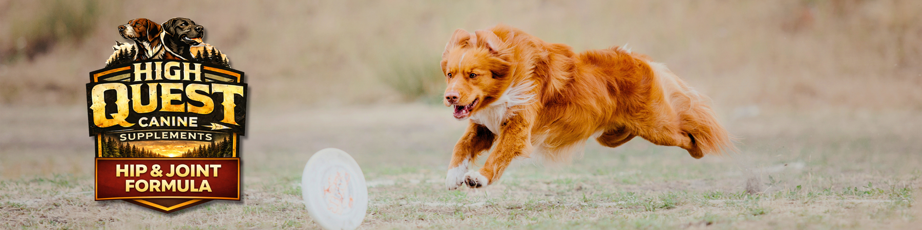 High Quest Canine Supplements – Hip and Joint Formula