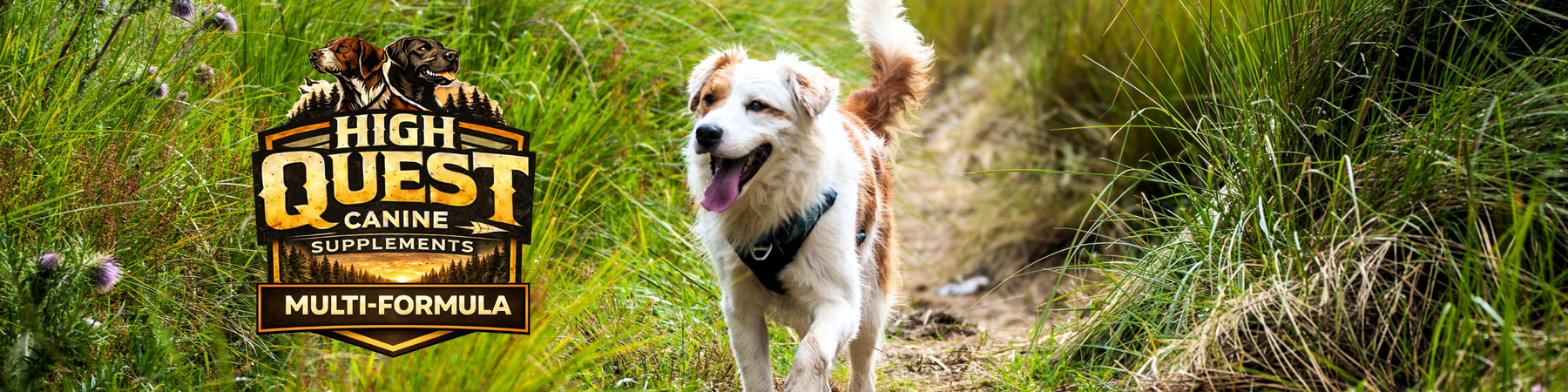High Quest Canine Supplements – Multi Formula