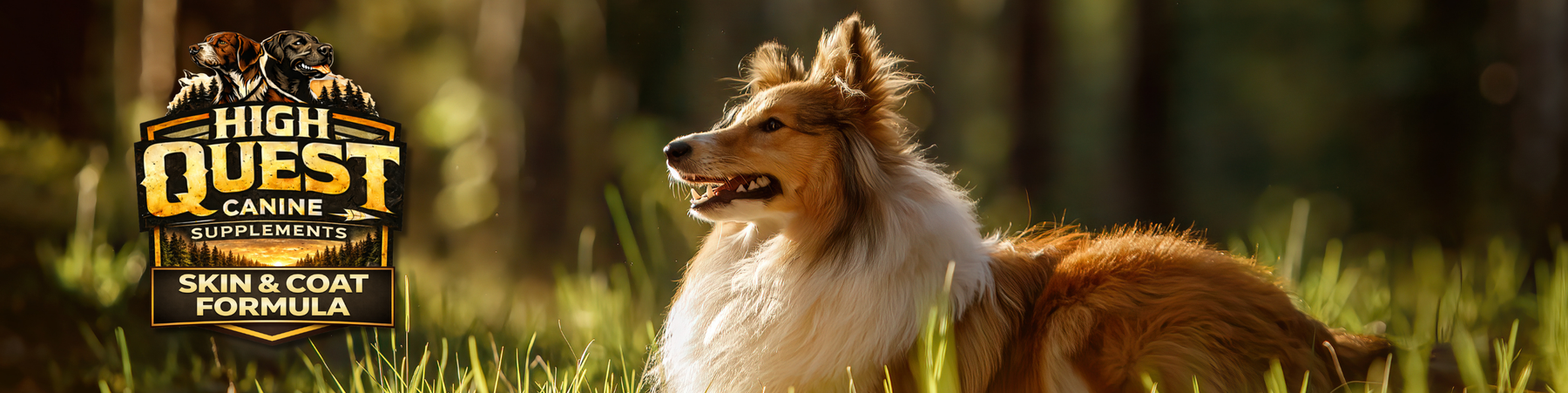 High Quest Canine Supplements – Skin and Coat Formula