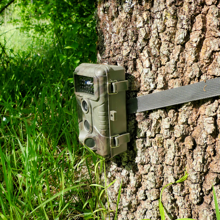 What to Look for in a Budget-Friendly Trail Camera: Key Features Explained