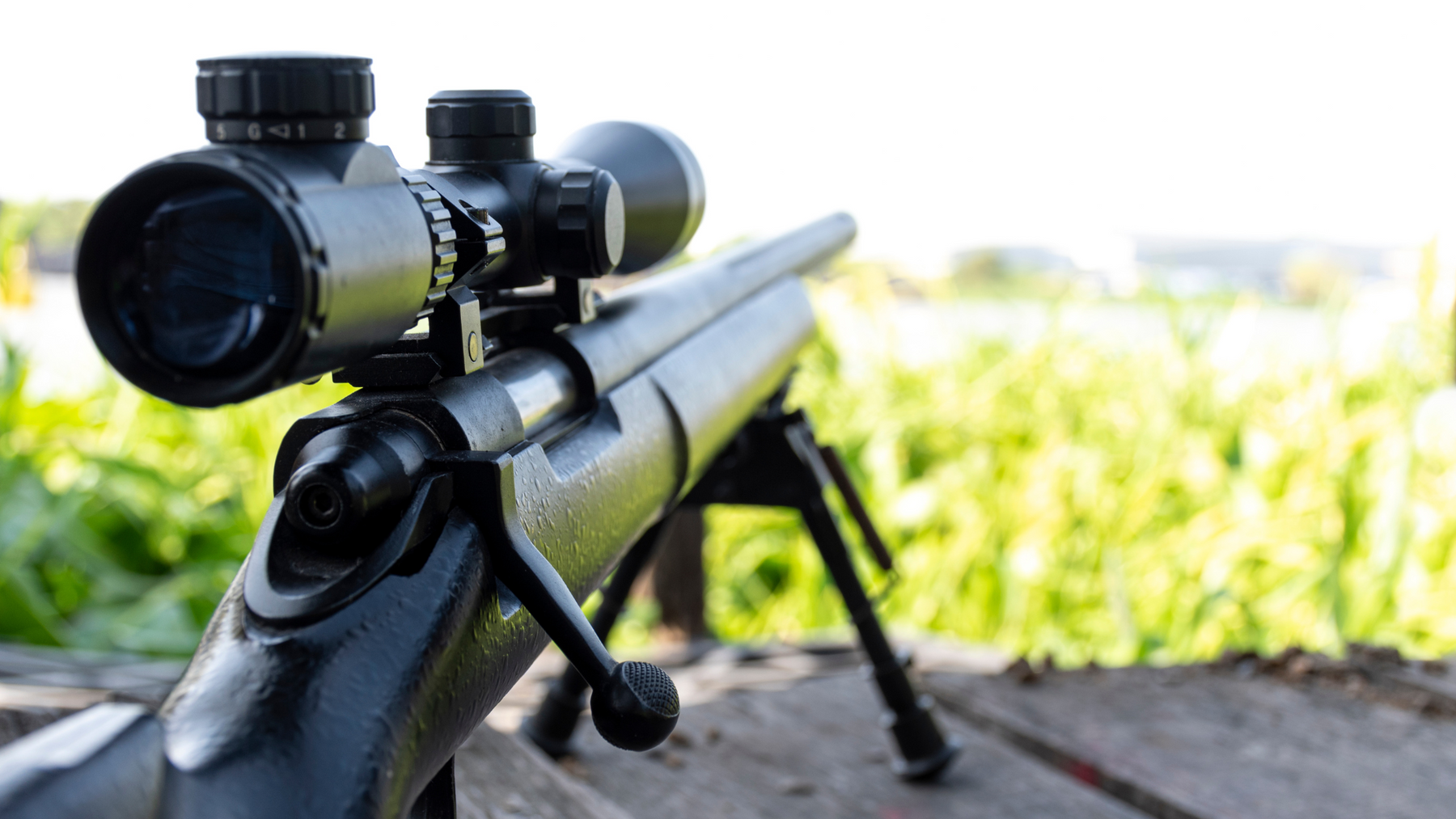 How to Select the Right Optics: Binoculars and Scopes for Hunting