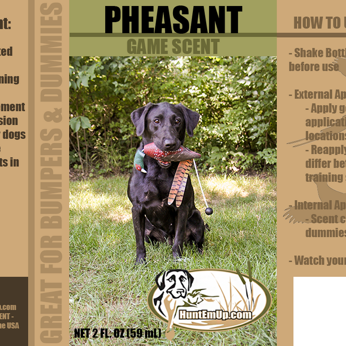 Dog Training Pheasant Scent