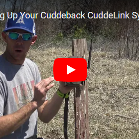 The Cuddelink System - Setting Up Your Cuddeback CuddeLink System