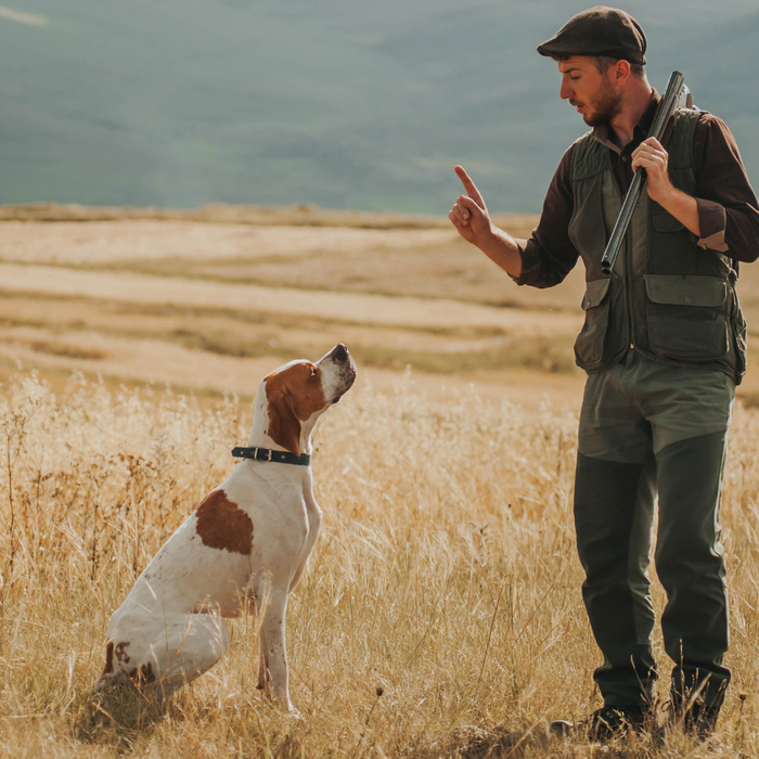 The Ultimate Guide to Positive Reinforcement in Dog Training