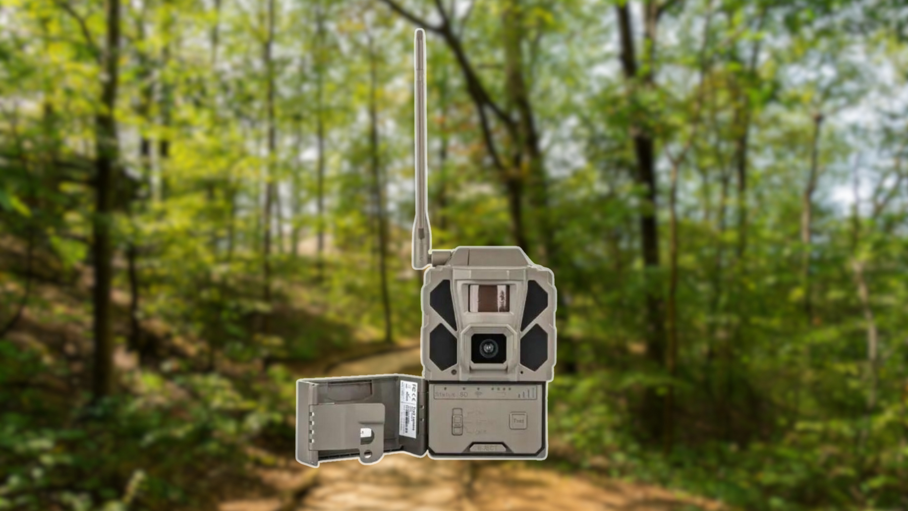 Trail Camera Maintenance: Keeping Your Gear in Top Shape