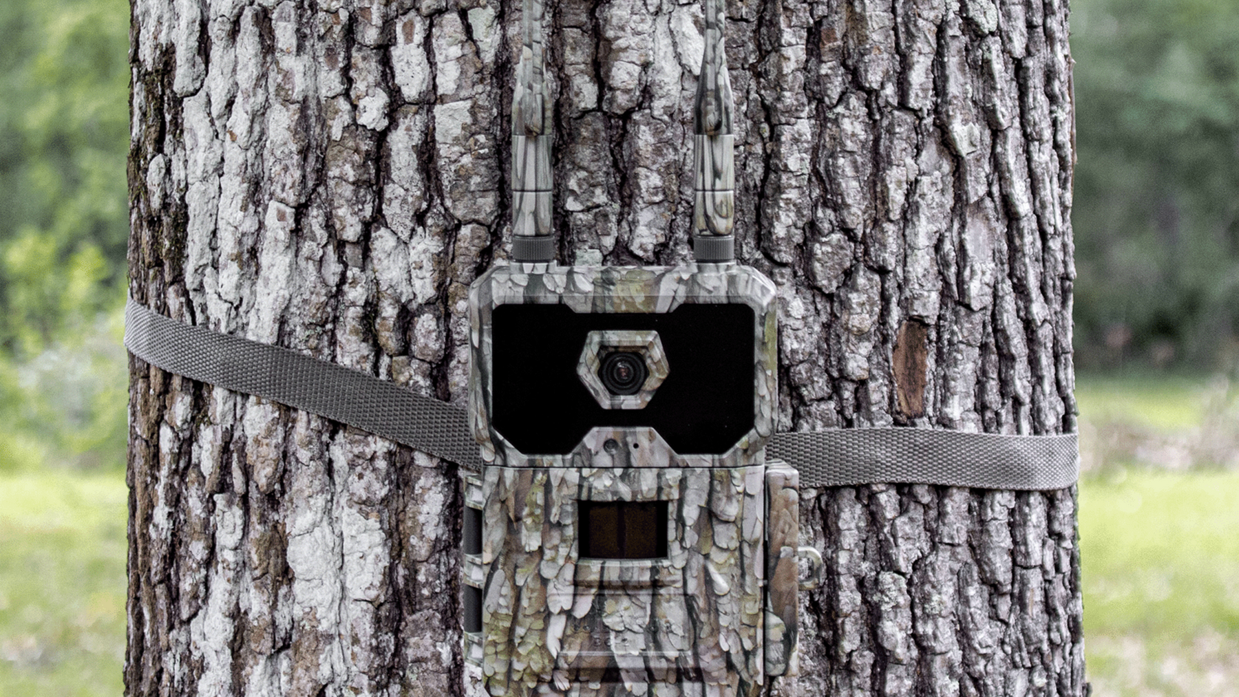 Using Trail Cameras for Wildlife Observation and Research