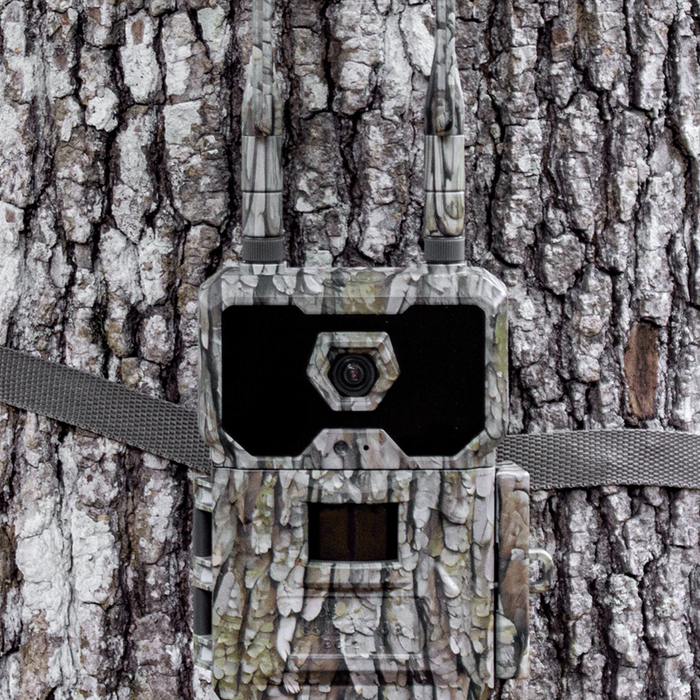 Using Trail Cameras for Wildlife Observation and Research