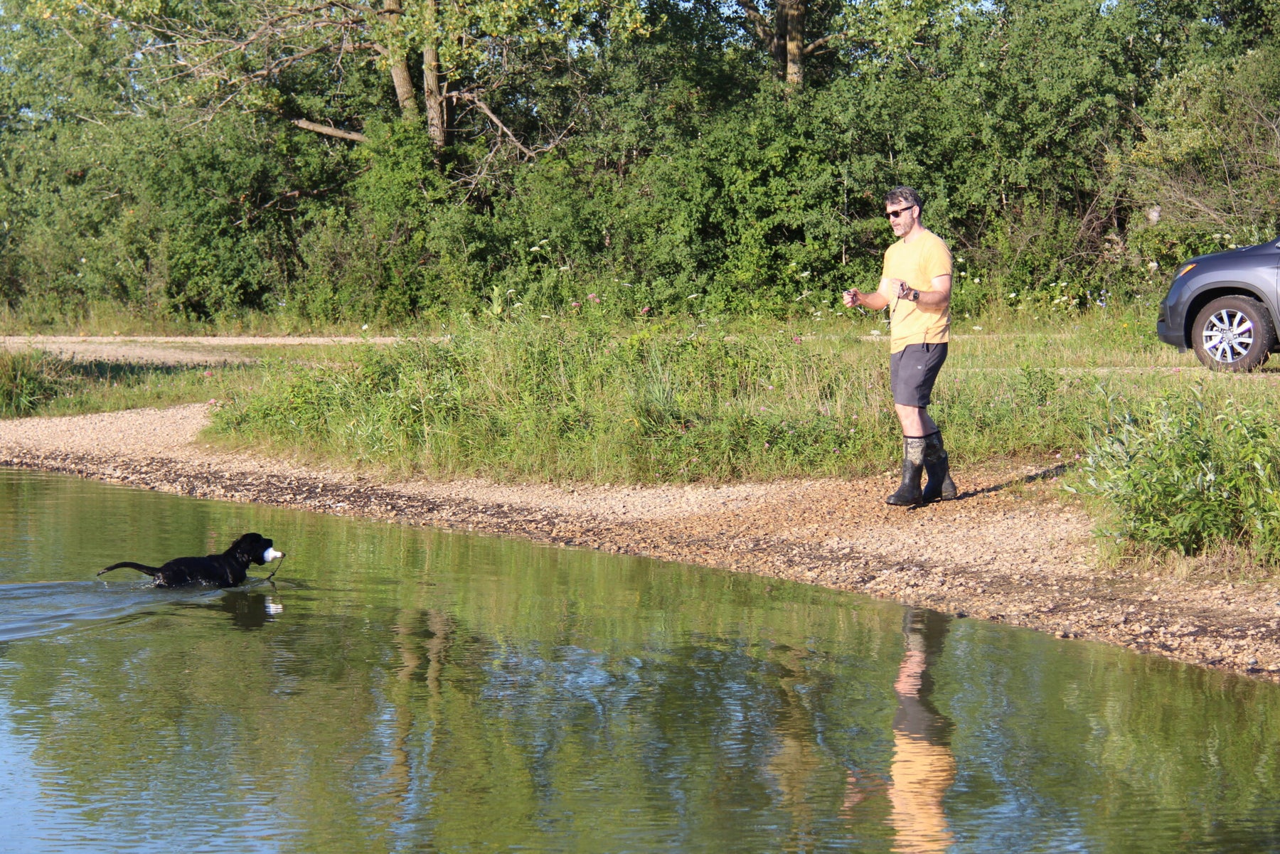 Using Training Scents in Developing your Bird Dog