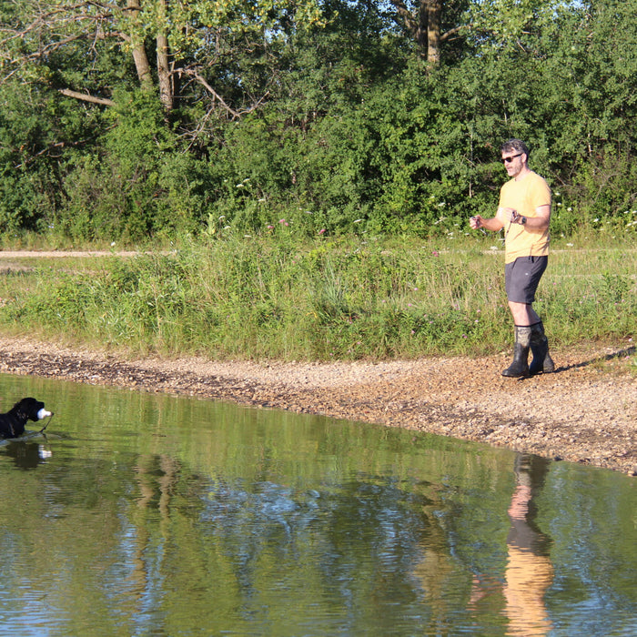 Using Training Scents in Developing your Bird Dog