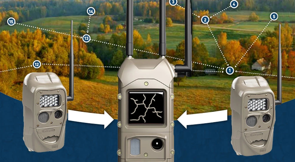 What is Cuddeback's Cuddelink System