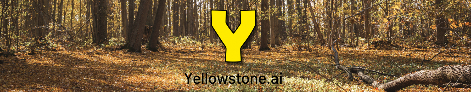 Yellowstone Trail Cameras: Features, Data Plans, and Pricing