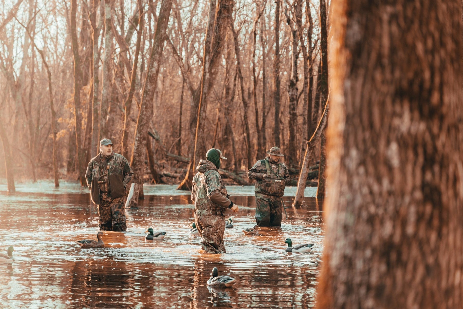 Duck Hunting