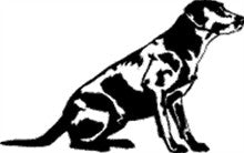 Hunting Dog Decals &amp; Stickers For Cars, Windows and Walls