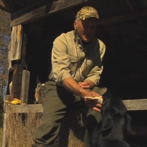 gundog delivery to hand