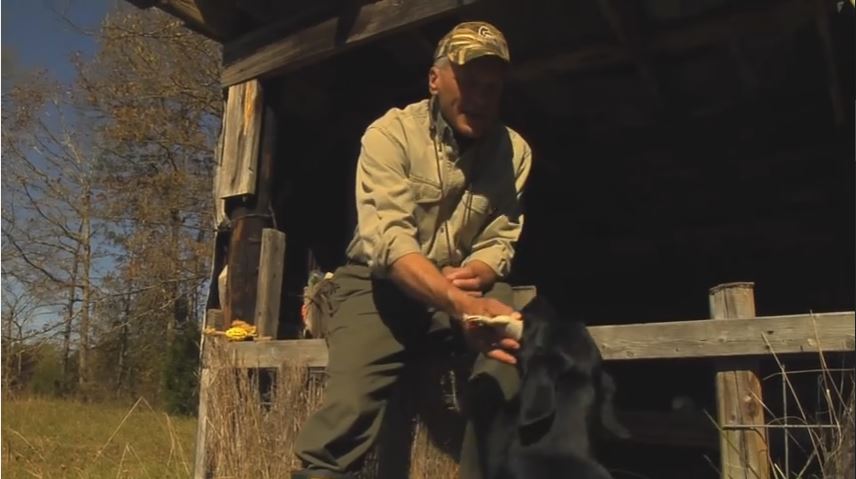 gundog delivery to hand