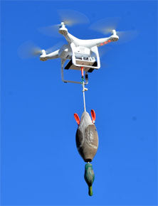 Dog training with a drone