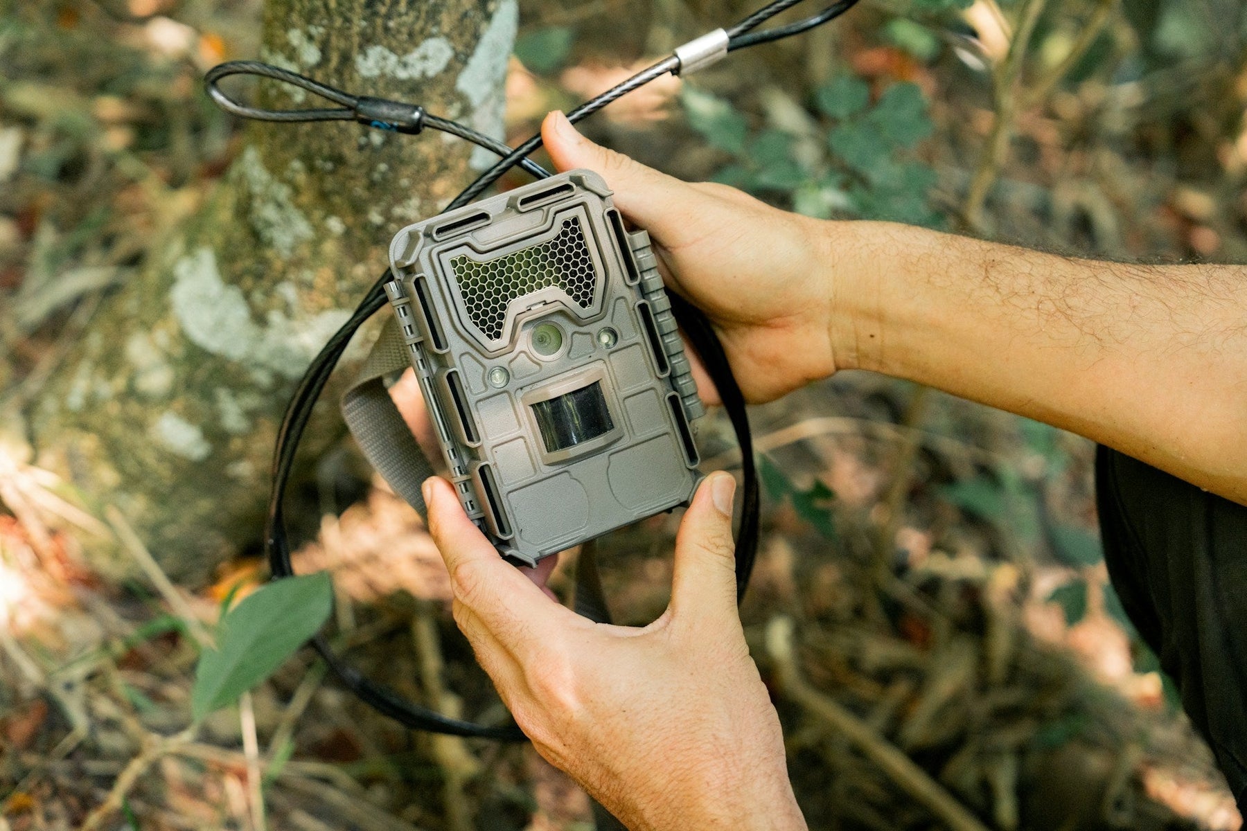 Trail Camera 