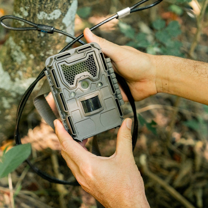 Trail Camera 