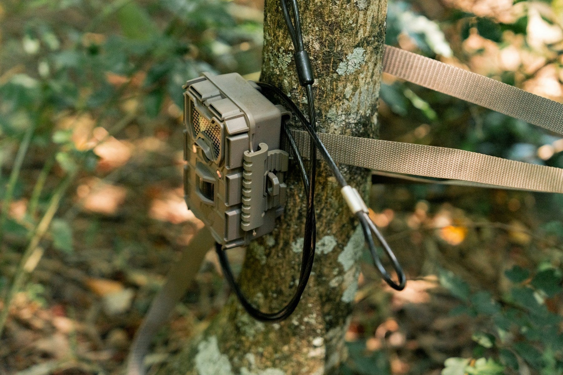 Trail Camera