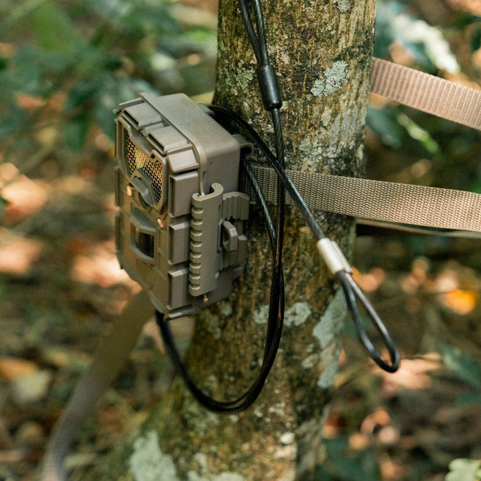 Trail Camera