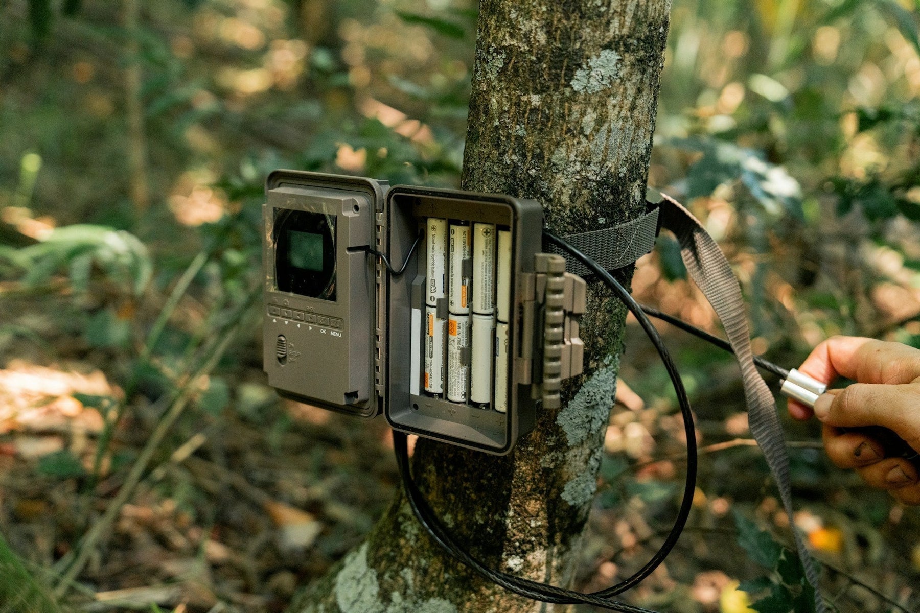Trail Camera