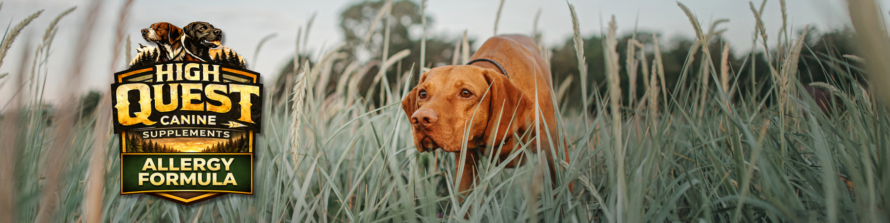 High Quest Canine Supplements – Allergy Formula