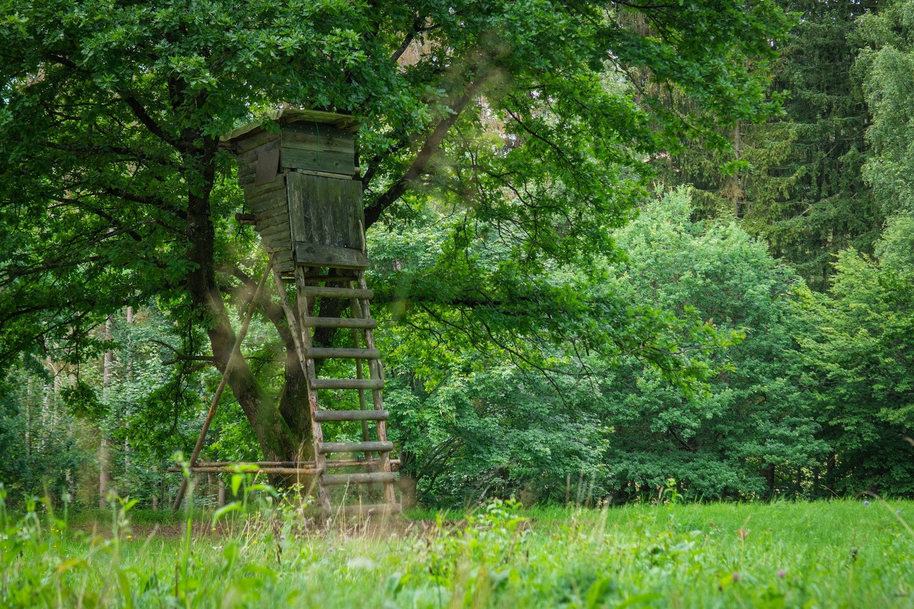 hunting calls 