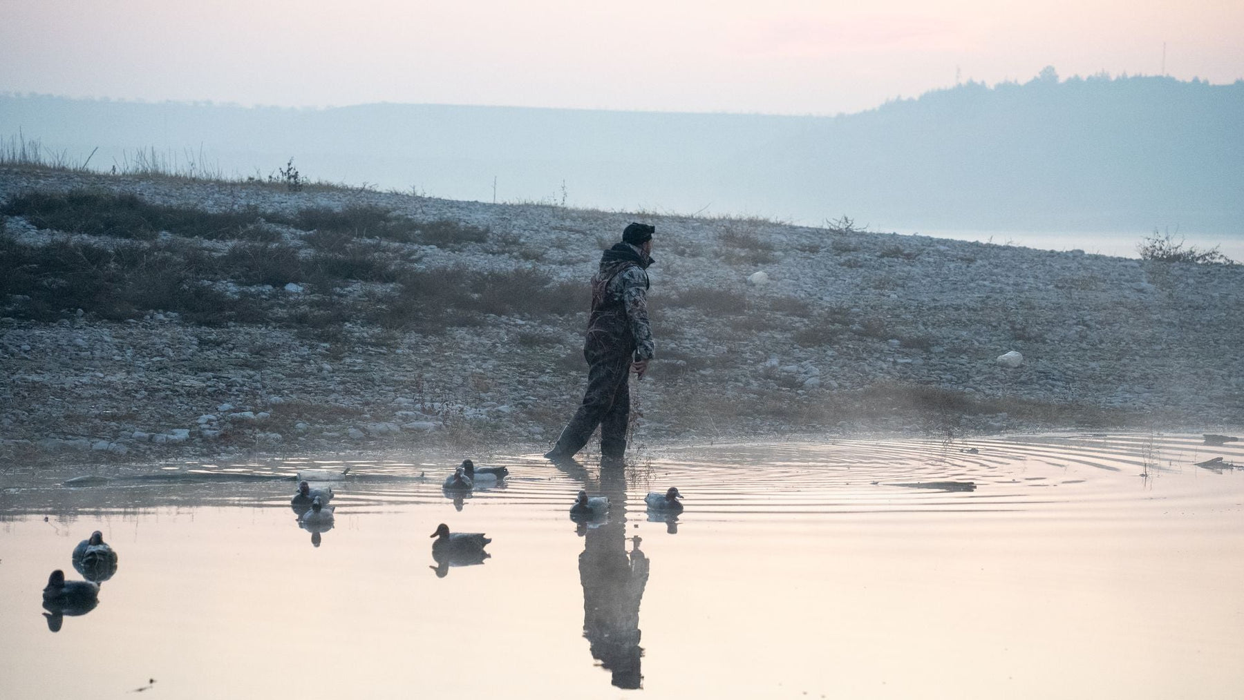 Duck Decoy